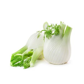 Fresh and clean onions for export to Vietgap